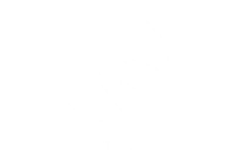 Logo RS Consulting Yardi Radka